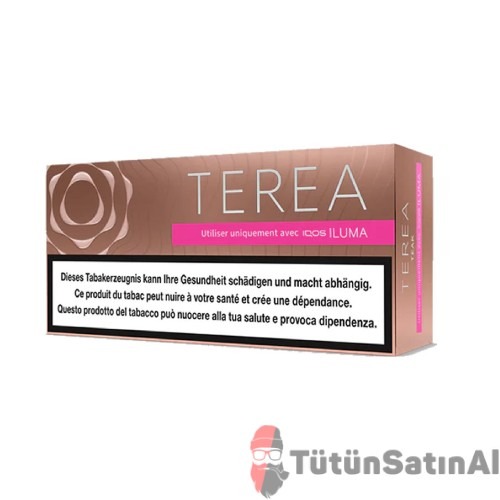 TEREA Teak IQOS Iluma 1 TEREA Teak IQOS Iluma