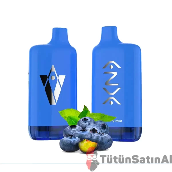 Azva Puff 8000 Blueberry Mint