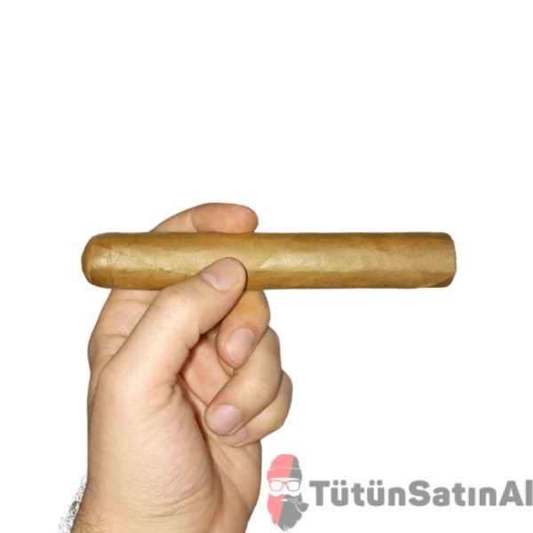 Mj Frias Cigars  (6x60)