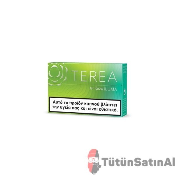 TEREA Zing Wave IQOS Iluma - Görsel 2