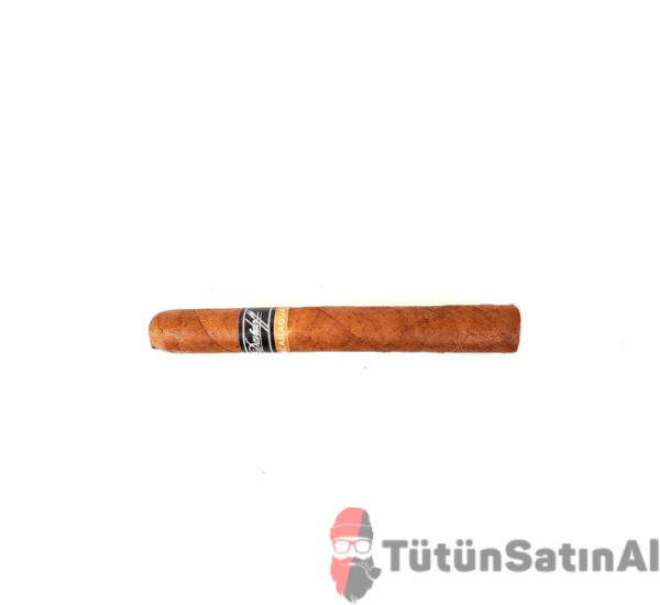 Davidoff Primeros Nicaragua - Görsel 3