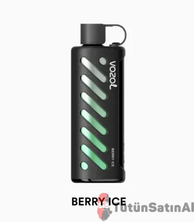 Vozol Gear Shisha 25000 Berry Ice 1 Vozol Gear Shisha 25000 Berry Ice