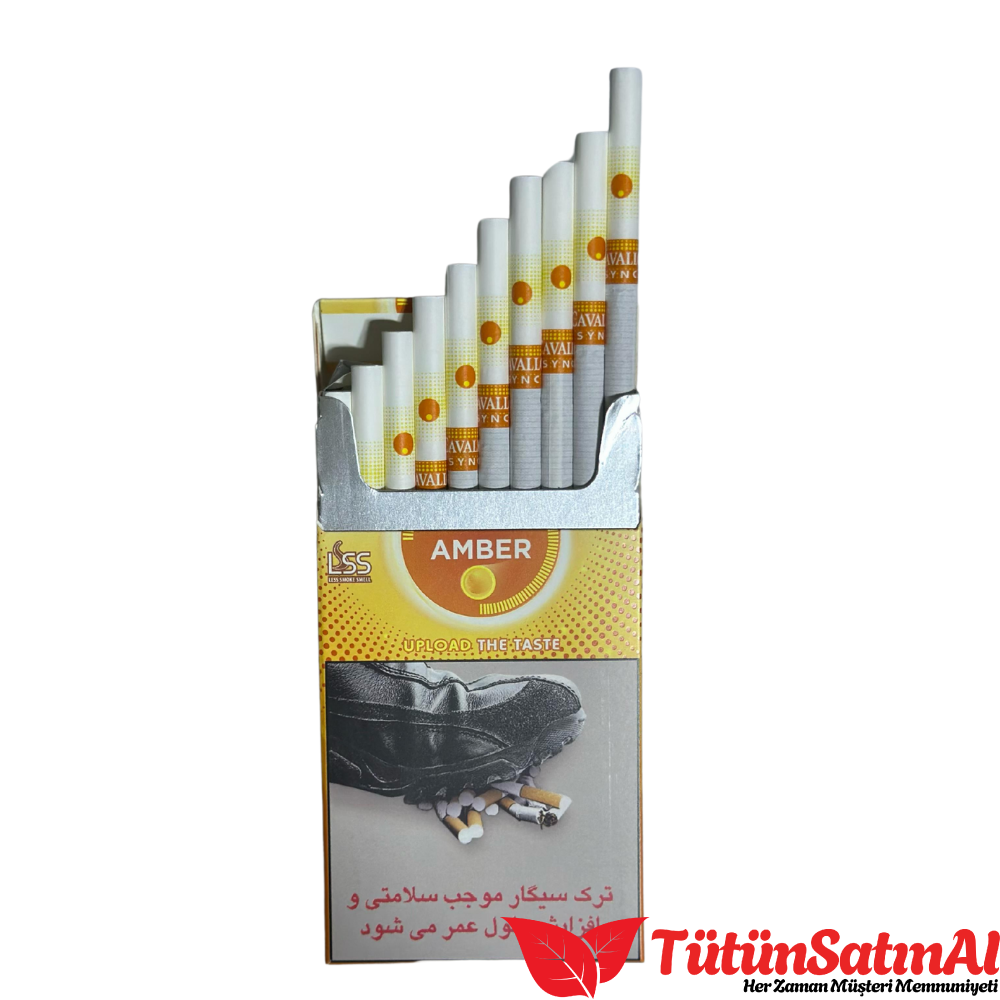 Cavallo Sync amber 2 Cavallo Sync amber - Görsel 2