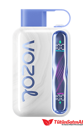 Vozol Star 40000 Blueberry Ice 1 Vozol Star 40000 Blueberry Ice