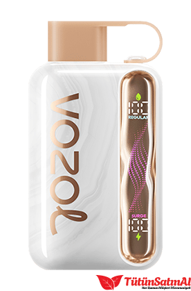 Vozol Star 40000 Strawberry Watermelon 1 Vozol Star 40000 Strawberry Watermelon