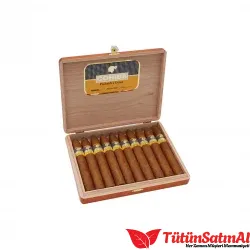 COHIBA PIRAMIDES EXTRA