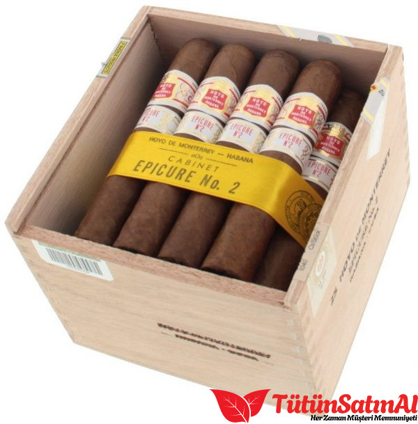 Hoyo de Monterrey Epicure No.2