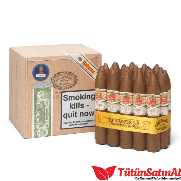 Hoyo de Monterrey Epicure No.3