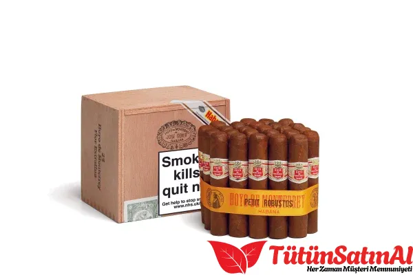 Hoyo de Monterrey Petit Robusto