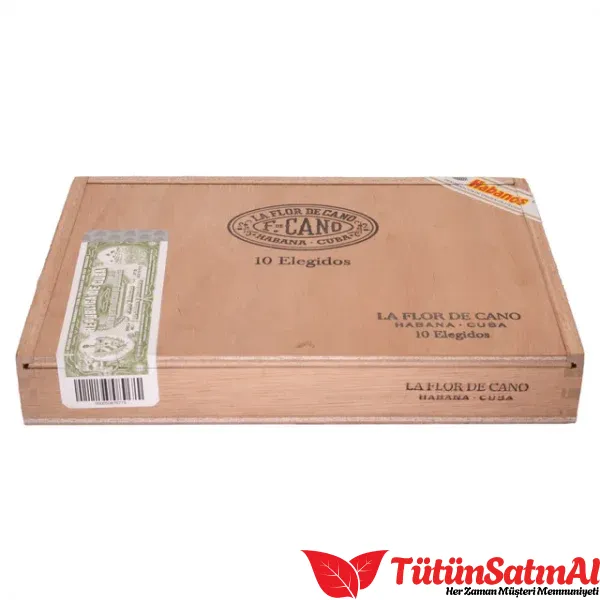 La Flor de Cano Elegidos - Görsel 3