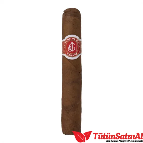 La Flor de Cano Elegidos - Görsel 2