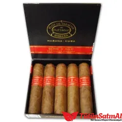 Partagas Serie D No.6