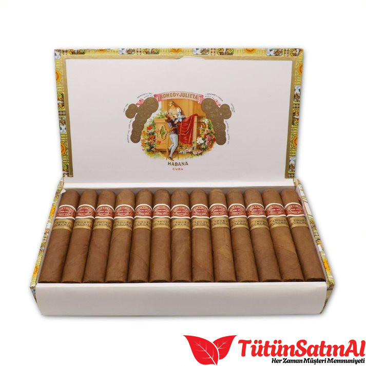 RyJ Short Churchill 1 RyJ Short Churchill