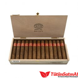 Partagas Serie D No.5