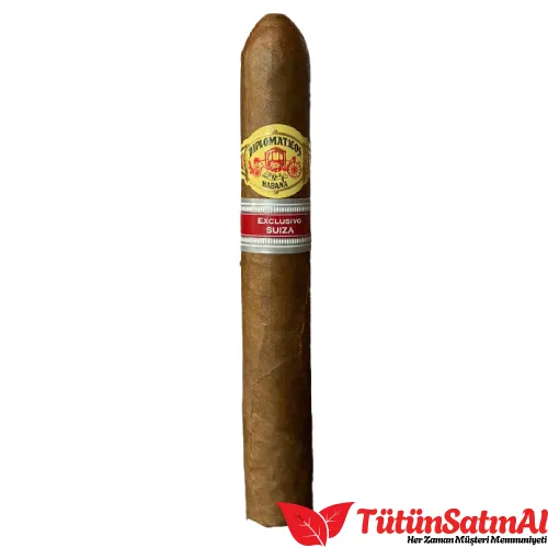 Diplomaticos Emisario Ex. Suiza 2 Diplomaticos Emisario Ex. Suiza - Görsel 2