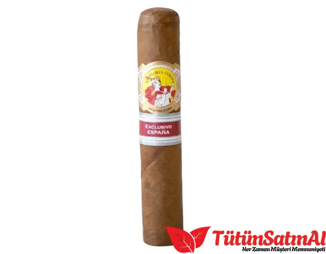 La Gloria Cubana Petit Robusto Ex. España 2 La Gloria Cubana Petit Robusto Ex. España - Görsel 2