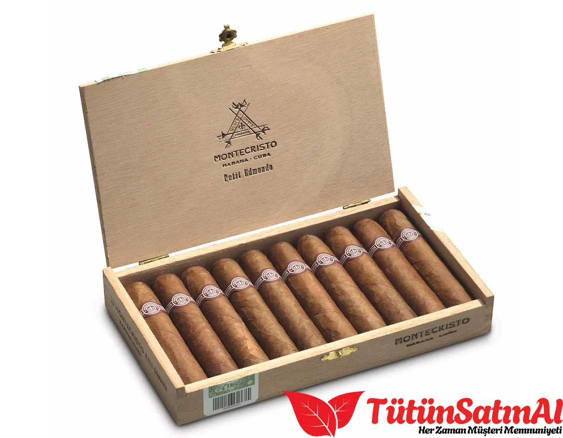 Montecristo Petit Edmundo 1 Montecristo Petit Edmundo