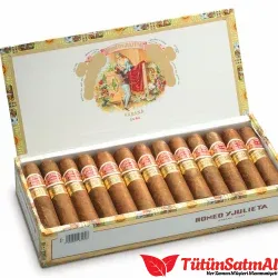 RyJ Petit Churchills