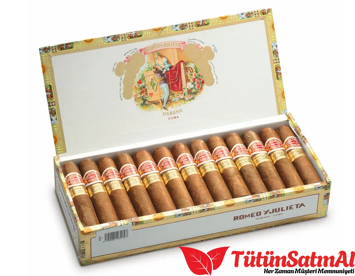 RyJ Petit Churchills 1 RyJ Petit Churchills