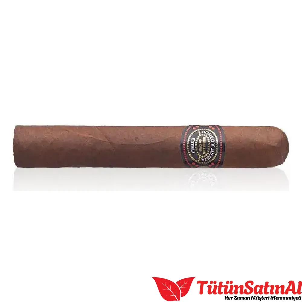 Romeo y Julieta Esteli Churchill Puro 2 Romeo y Julieta Esteli Churchill Puro - Görsel 2