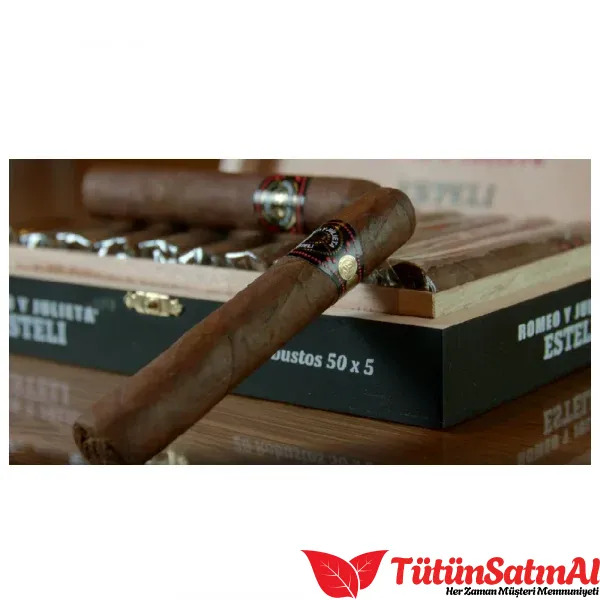 Romeo y Julieta Esteli Robusto Puro - Görsel 3
