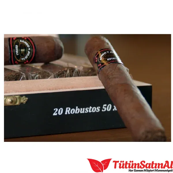 Romeo y Julieta Esteli Robusto Puro - Görsel 4